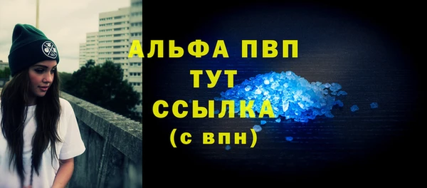 гидра Волоколамск