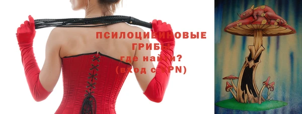 стафф Надым