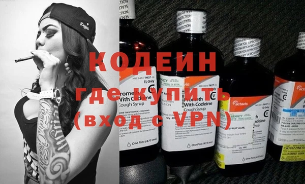 хмурый Бородино