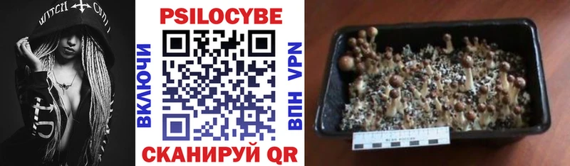 Псилоцибиновые грибы GOLDEN TEACHER  Высоковск 